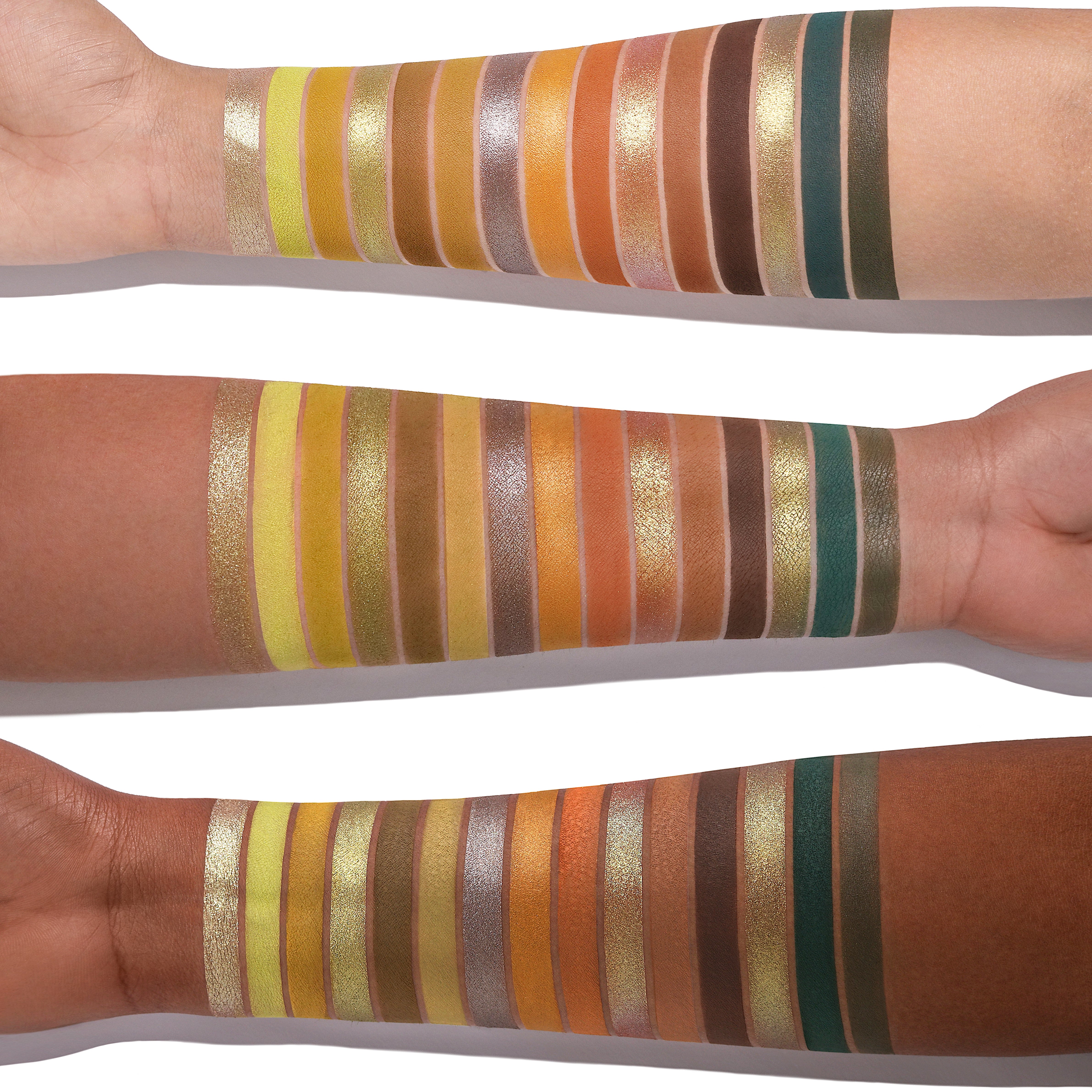 Wildwood 15 Color Eyeshadow Collection